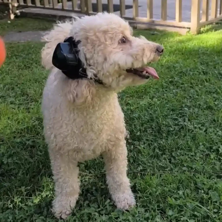 Woo Quiet Pets – Protector Auditivo para Perros y Gatos