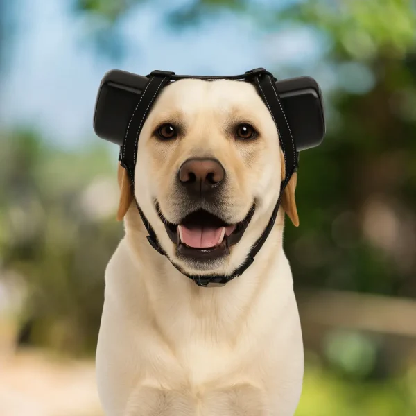 Woo Earmuffs Quiet Pets - Imagen 8